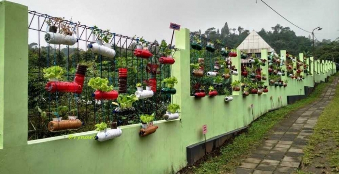 Seni Berkebun dan Bercocok Tanam di Pagar oleh Suprihati Seni Berkebun dan Bercocok Tanam di Pagar oleh Suprihati