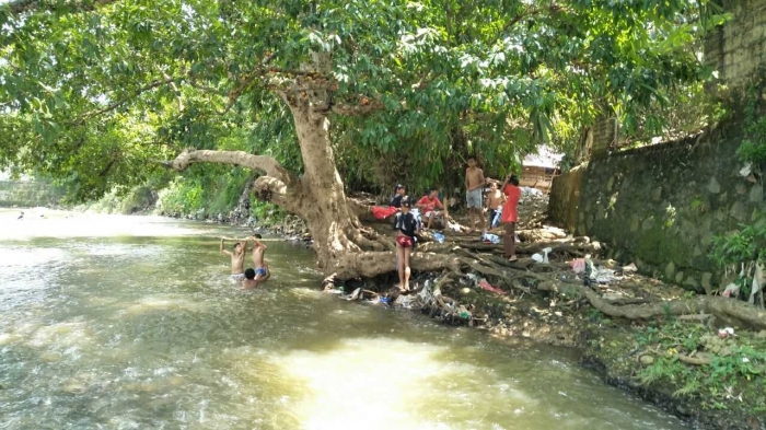 Pohon Loa dan Anak Sungai
