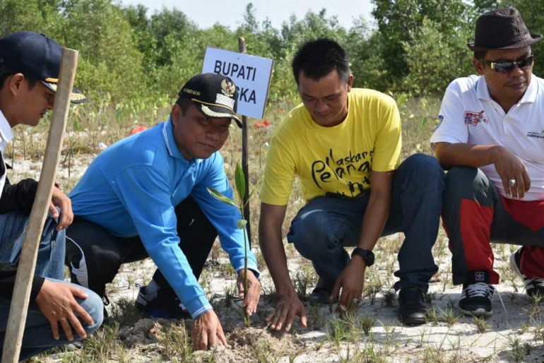 Bupati Bangka Tarmizi Saat turut menanam Bakau (foto Rustian)