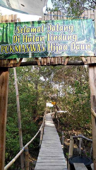 Pintu masuk hutan lindung bakau di Desa Daun, Pulau Bawean. (Foto: Gapey Sandy)