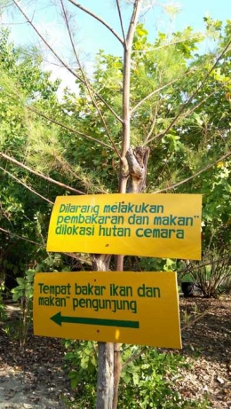 Lokasi hutan cemara yang harus juga dipelihara bersama. (Foto: Gapey Sandy)