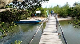 Jembatan kayu melintasi sungai untuk menuju dermaga tempat boat yang biasa digunakan pengunjung mengelilingi perairan dan hutan bakau. (Foto: Gapey Sandy)