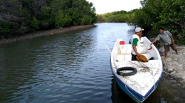 Boat yang siap mengantar pengunjung berkeliling perairan serta hutan bakau. (Foto: Gapey Sandy)