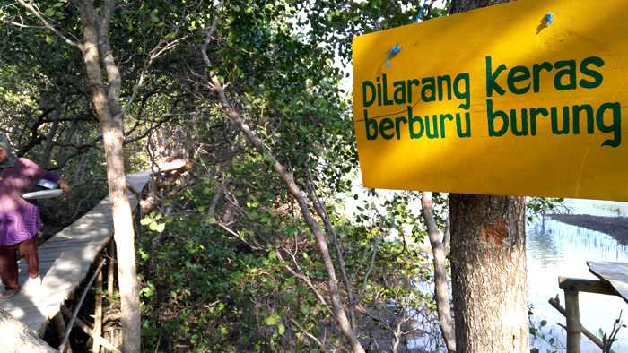 Rambu larangan berburu burung di Hutan Bakau Desa Daun, Kecamatan Sangkapura, Pulau Bawean. (Foto: Gapey Sandy)