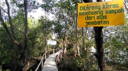 Lintasan jembatan kayu dan larangan membuang sampah di area konservasi bakau Pokmaswas Hijau Daun. (Foto: Gapey Sandy)