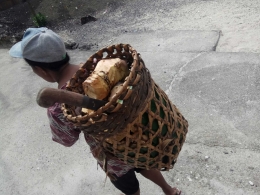 Pribumi Miangas membawa laluga dari kebun (Dokumentasi Pribadi)