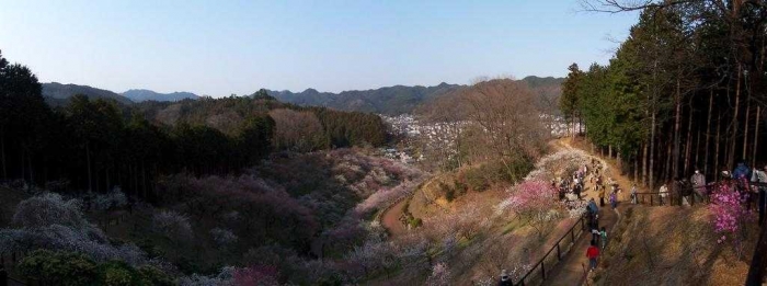 Contoh hasil dengan kamera Kodak. Lokasi : Umegou Oume City (Dokumentasi Pribadi)