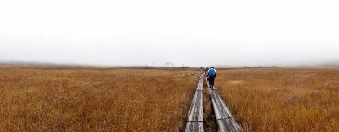 Contoh hasil dari Swing Panorama kamera Sony. Lokasi : Oze National Park (Dokumentasi Pribadi)