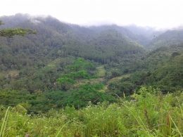 Gunung Golkar di Ciamis, Jawa Barat