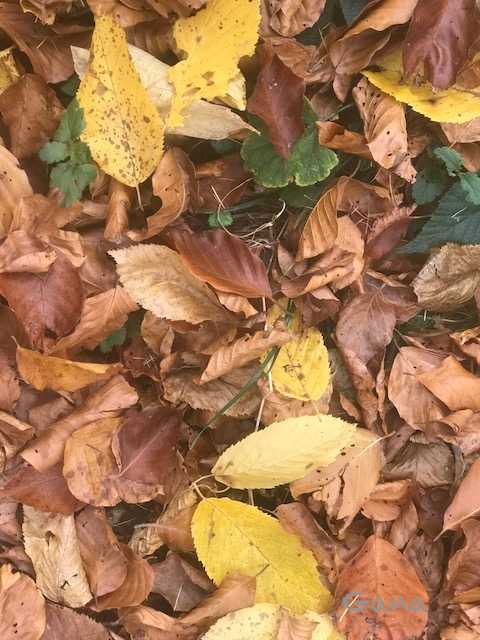 Andai yang jatuh itu uang ...(Dokumentasi Pribadi)