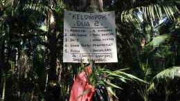 papan nama kelompok peserta sekolah lapangan dan tanaman jahe yang mereka tanam. Foto. dok. Yayasan Palung