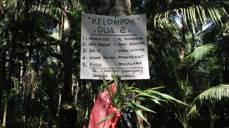 papan nama kelompok peserta sekolah lapangan dan tanaman jahe yang mereka tanam. Foto. dok. Yayasan Palung