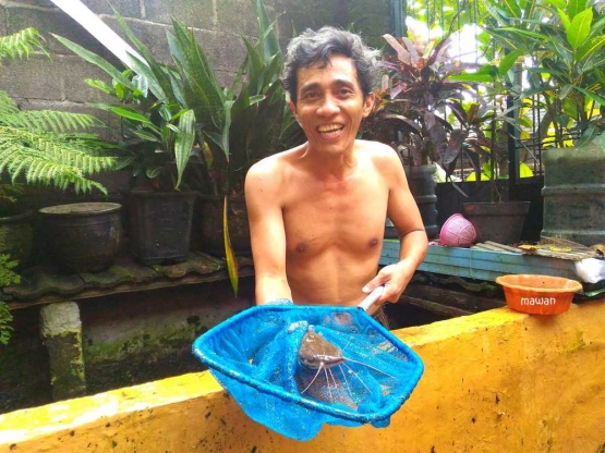Inilah lele predator itu (dok.pri)
