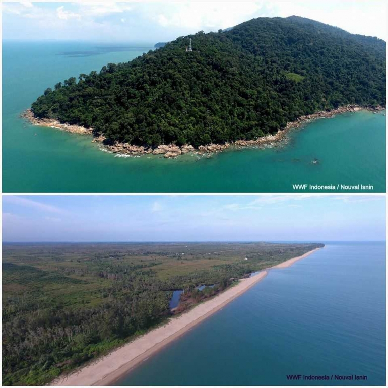 Menara suar Tanjung Datu, titik nol perbatasan Indonesia Malaysia (atas). Bentang pantai dan degradasi habitat di area utama peneluran penyu Paloh (bawah). Sumber: WWF Kalbar