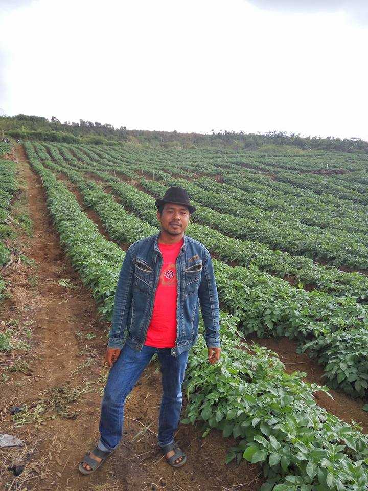 Gambar, Safriga, sosok pemuda yang sukses dengan usaha pertanian organiknya (Doc. FMT)