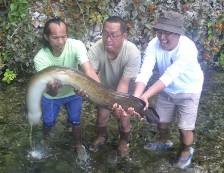 Belut Raksasa Wisata ke Habitat Belut Raksasa - Kompasiana.com