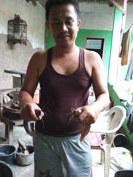 lele-lebih-sehat-dan-menyehatkan-5a03db259f91ce48c8274e52.jpg