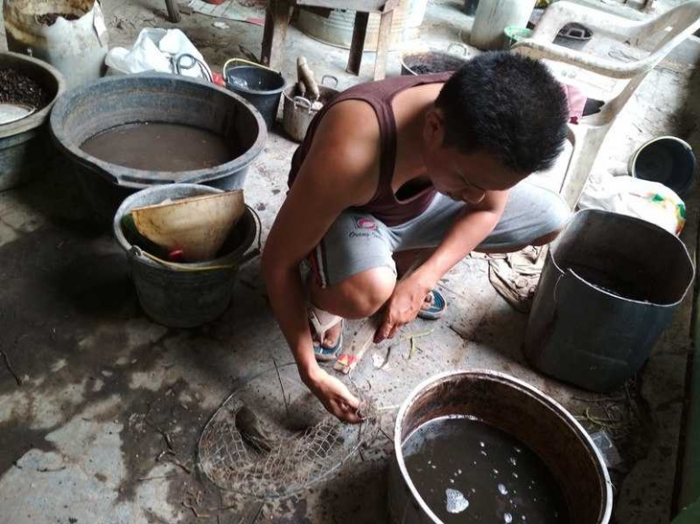 probiotik-untuk-lele-5a03db012670d40959678004.jpg
