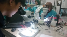 Huda sedang melihat ciri-ciri nyamuk aedes aegypti di Lab. Insektarium EDP Jogja. Dok.pri