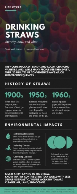 Infografis Sedotan Plastik dan Bahayanya (sumber: http://blogs.worldwatch.org)