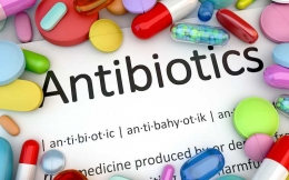 Antibiotik (daily-sun.com)