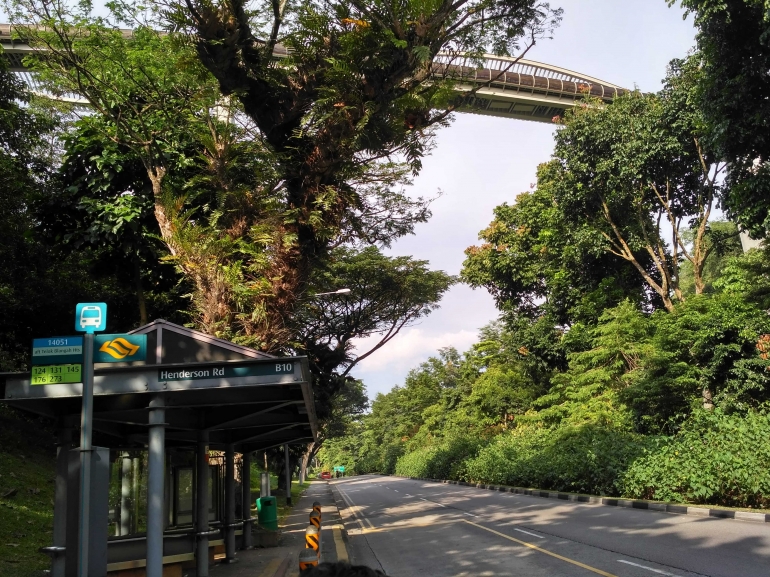 Jangan bingung saat turun bus sekitar anda hanya pohon dan tidak ada kehidupan. Begitu tingginya jembatan tersebut, kita harus mengengok ke atas dari halte tempat kita turun. (dokumentasi pribadi)