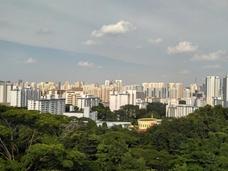 Pemandangan dari Henderson Waves. (dokumentasi pribadi)