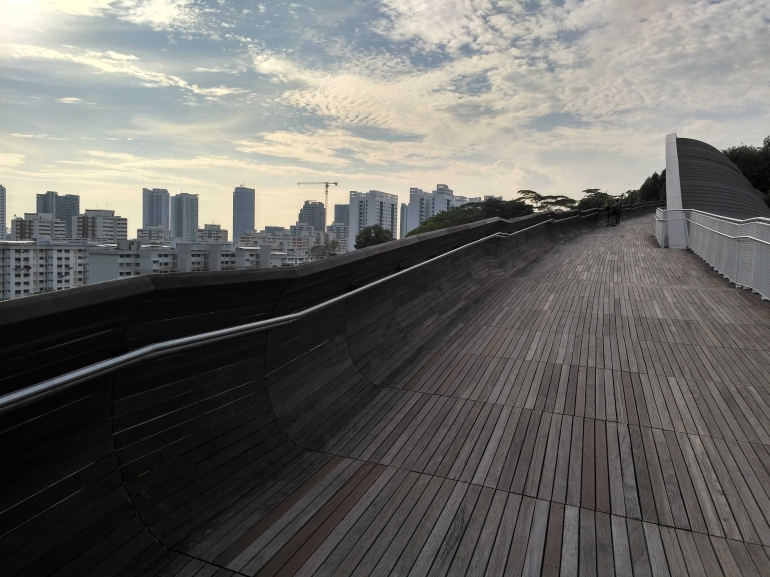Pemandangan kota dari Henderson Waves, Singapura. (dokumentasi pribadi)