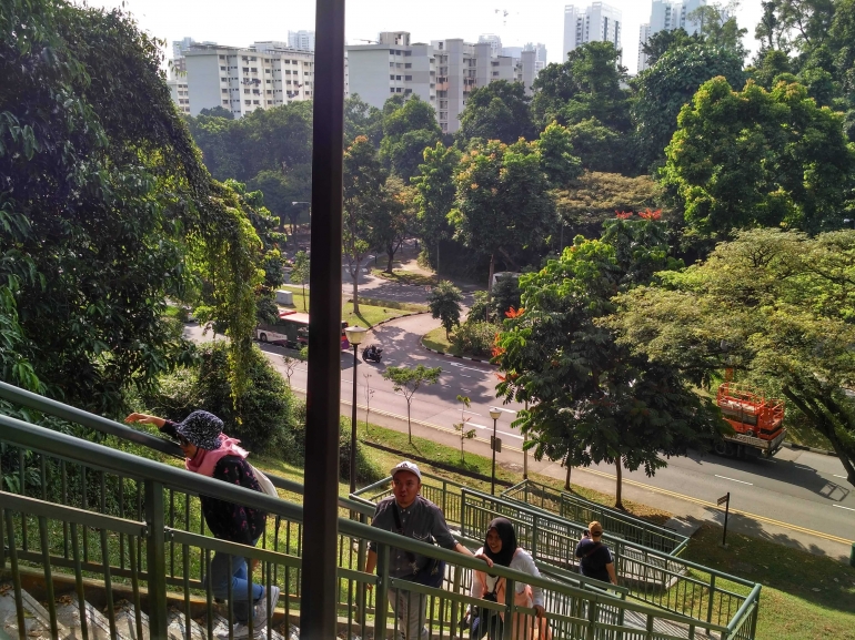 Kita harus menaiki ratusan anak tangga untuk menuju jembatan Henderson Waves (dokumentasi pribadi)