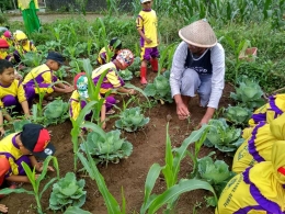 Siswa TK ABA Kertek sedang belajar menanam