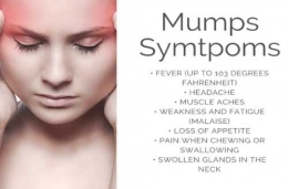Sumber gambar 2: https://www.doctorshealthpress.com/wp-content/uploads/2016/05/mumps-symptoms.jpg