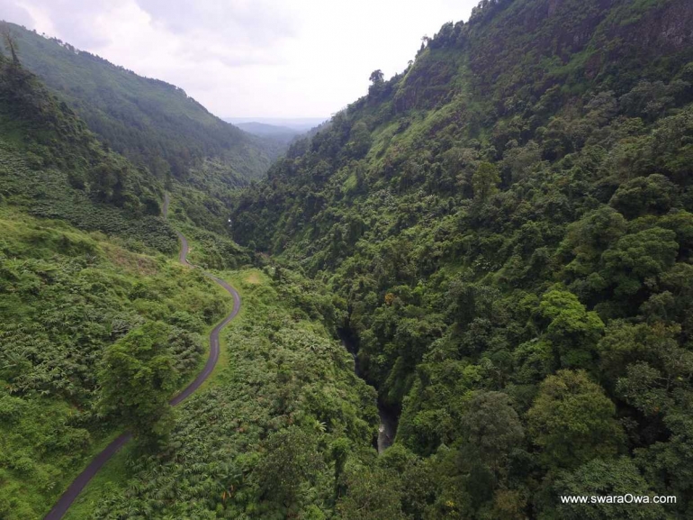 Hutan Koridor Siregol, Desa Sirau, Kecamatan Karangmoncol, Purbalingga (www.swaraowa.com)