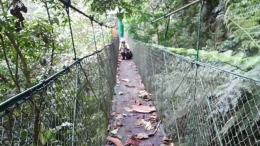 Adayang tak ngeri di jembatan canopi (dok.yayat)