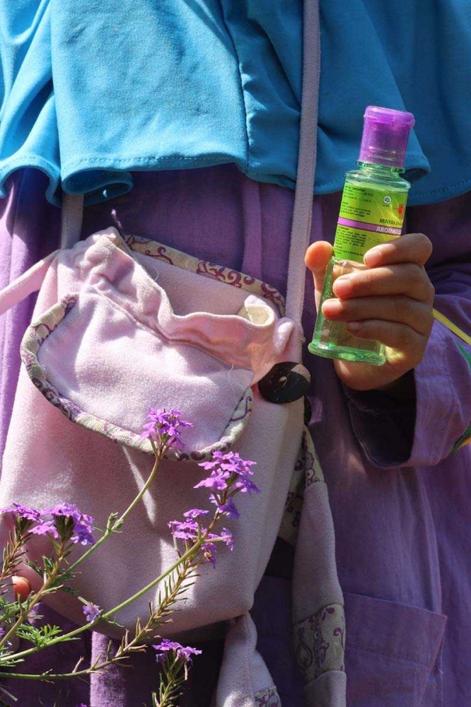 Si ungu Kayu Putih Aroma Lavender