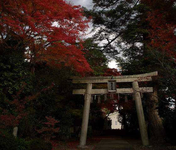 Shoutengu Saikouji Mino, Oosaka (Dokumentasi Pribadi)