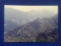 Lembah yang terlihat jauh dari Gng. Siatubang (dok. pribadi)