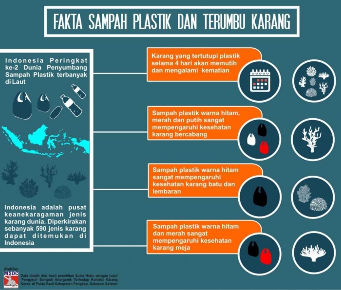 Warga Arborek Raja Ampat Menjaga Laut agar Bebas Sampah oleh Tri Lokon