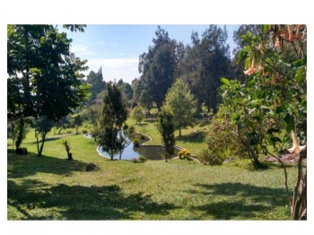 Wisata Kebun Raya Cibodas Dan Masjid Atta Awun Kompasiana Com Wisata Kebun Raya Cibodas Dan Masjid Atta Awun Kompasiana Com