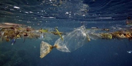 Sampah Plastik di Laut, susah terurai (Sbr : Kompas.com)