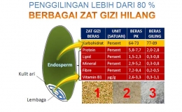 Struktur beras dan kandungan zat gizi, sumber slide presentasi Prof. Rindit