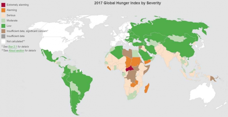 Indonesia masih masuk ke level serius untuk tingkat kelaparan (sumber: IFPRI.org)