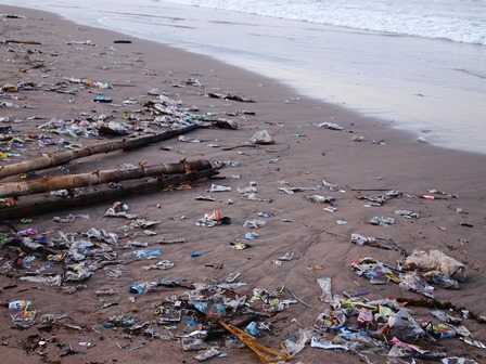 Sampah Laut yang Terdampar di Tepi Pantai (Dokpri)