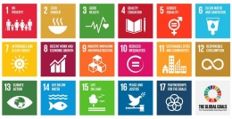 SDGs (sumber: planvivo.org