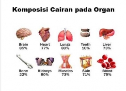 Komposisi Cairan pada Organ, dijelaskan oleh Dr.dr.Inge kepaa peserta Danone Blogger Academy |Dr. dr.Inge