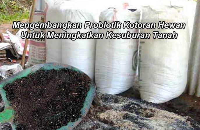 sumber: mitalom