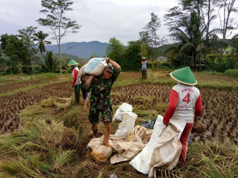 Tentara Peduli Petani di Desa Bentar, Kecamatan Salem, Kabupaten Brebes