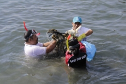 Kegiatan membersihkan laut bersama pelajar | Sumber: Kemenkomaritim