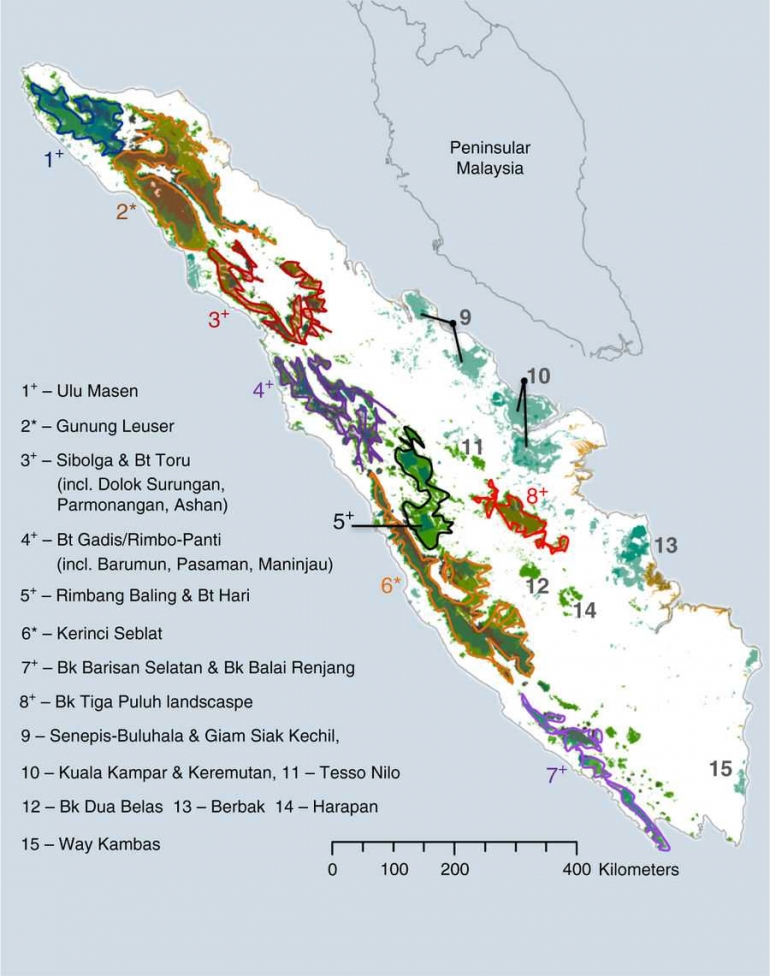 Habitat harimau Sumatera yang semakin menciut mengakibatkan kelangkaan harimau Sumatera. Sumber: Nature.com