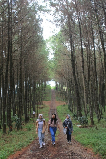 Puncak Eurad Wisata Alam Kekinian Di Lembang Yang Puncak Eurad Wisata Alam Kekinian Di Lembang Yang
