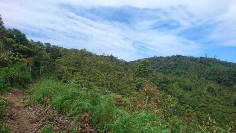 Pemandangan di awal perjalanan sebelum masuk rimba. Nun di kejauhan nampak menyembul kecil puncak Talang. (Dokpri)